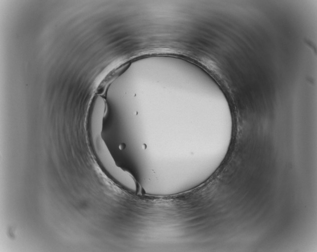 X0000098151181200805151157