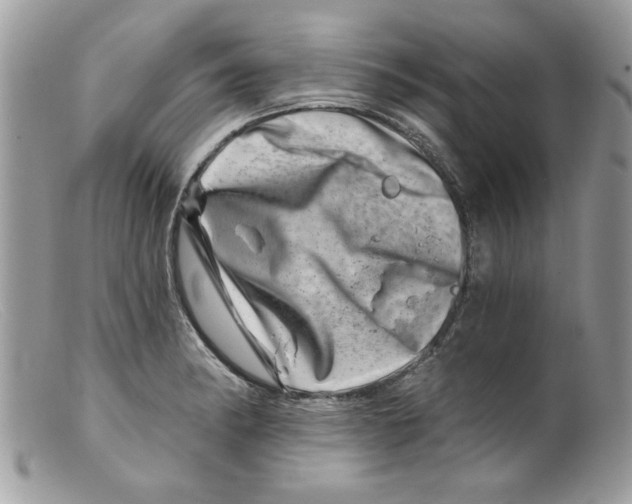 X0000098151182200805151157