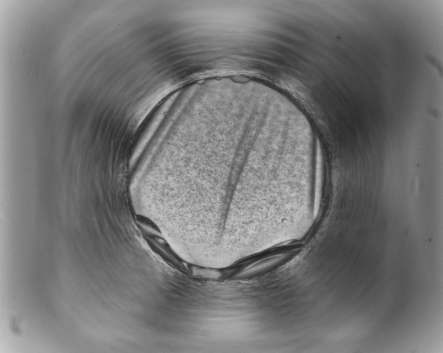 X0000098151185200805151157