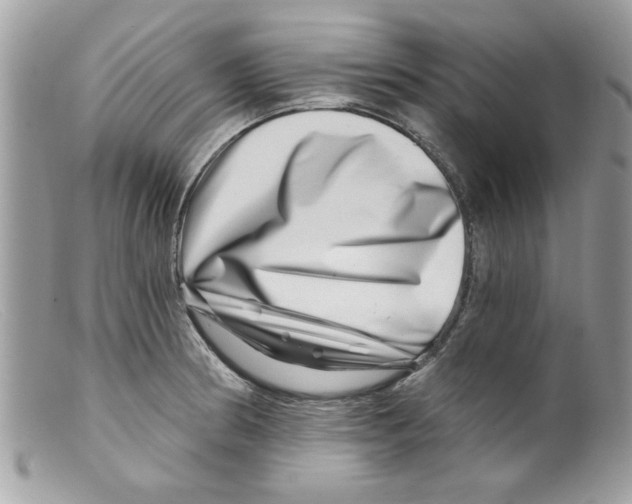 X0000098151186200805151157