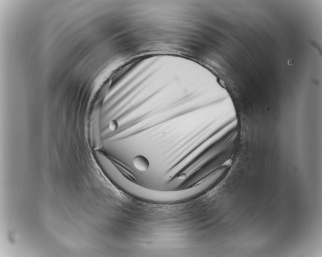 X0000098151188200805151157