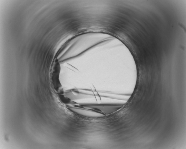 X0000098151190200805151157