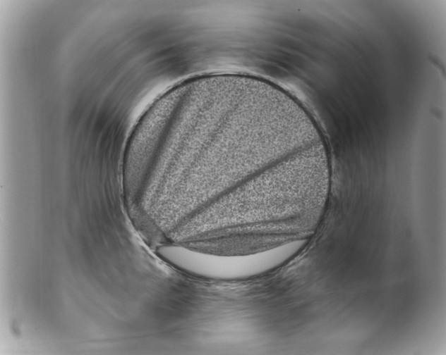 X0000098151191200805151157