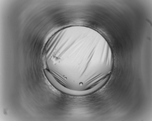 X0000098151192200805151157
