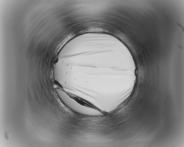 X0000098151193200805151157