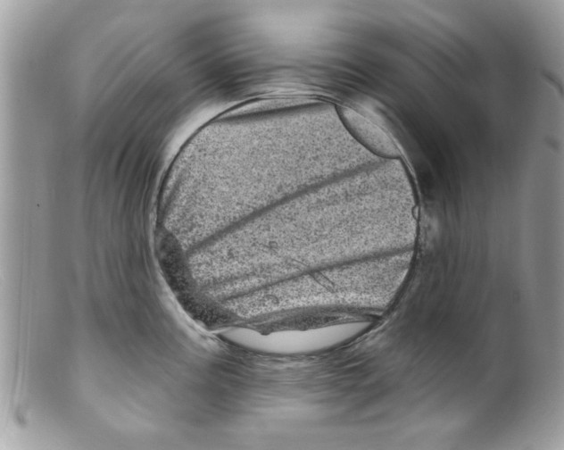X0000098151195200805151157