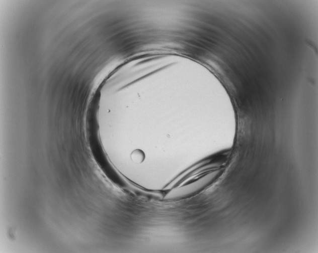 X0000098151196200805151157