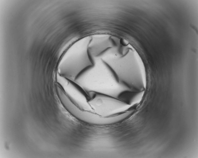 X0000098151198200805151157