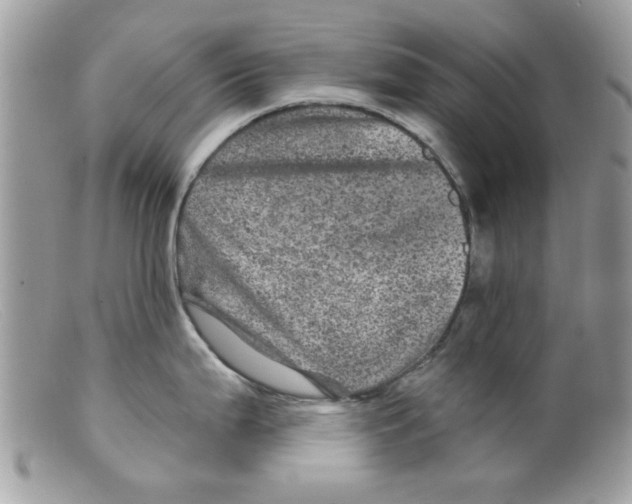X0000098151199200805151157