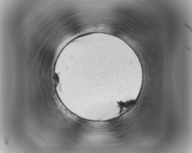 X0000098151200200805151157