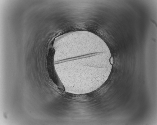 X0000098151201200805151156