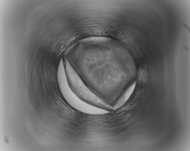 X0000098151202200805151156