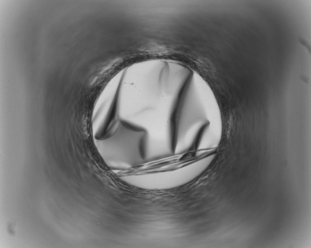 X0000098151205200805151156