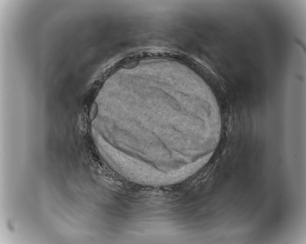 X0000098151207200805151156