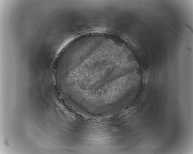 X0000098151208200805151156