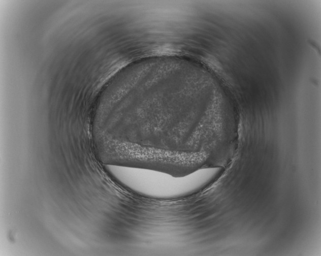 X0000098151209200805151156