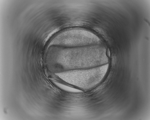 X0000098151210200805151156