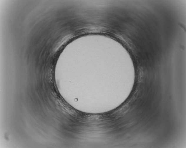 X0000098151211200805151156