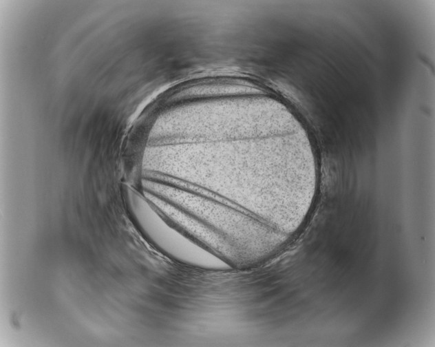 X0000098151212200805151156