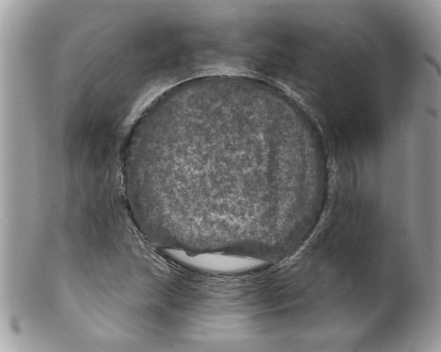 X0000098151215200805151156