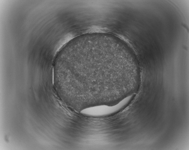 X0000098151219200805151156