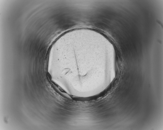 X0000098151220200805151156