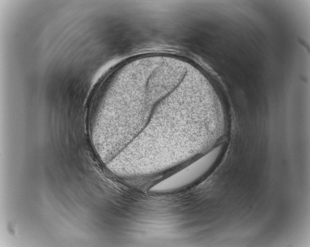 X0000098151222200805151156