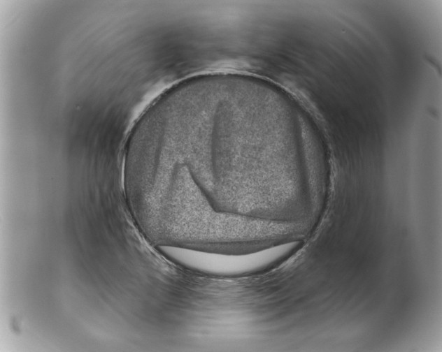 X0000098151224200805151157