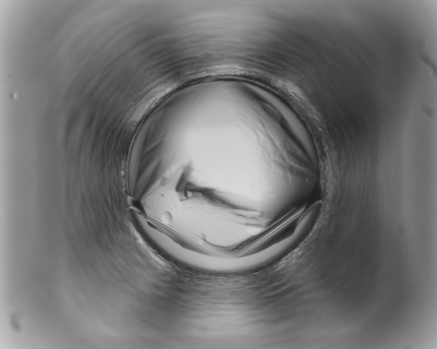 X0000098151225200805151157