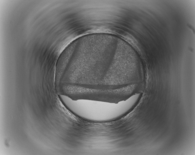 X0000098151228200805151157