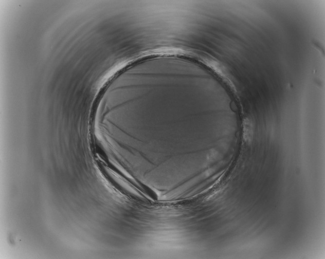 X0000098151229200805151157