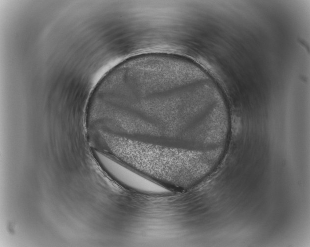 X0000098151230200805151157