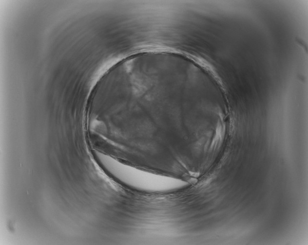 X0000098151231200805151157