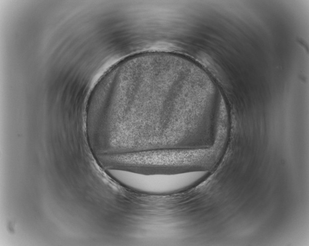 X0000098151232200805151157