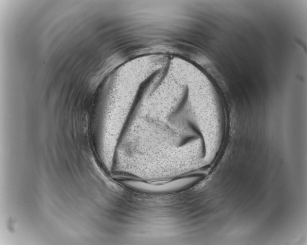 X0000098151233200805151157