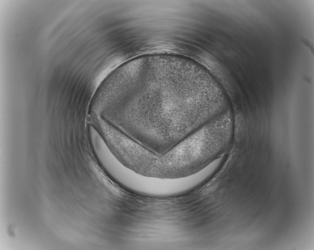 X0000098151234200805151157