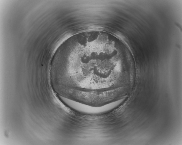 X0000098151235200805151157
