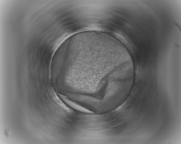 X0000098151236200805151157