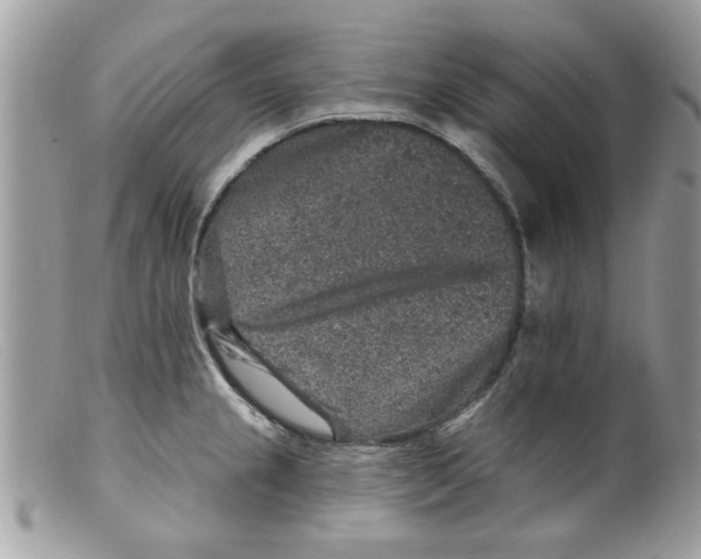 X0000098151237200805151157