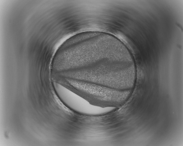 X0000098151238200805151157