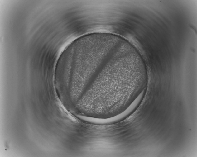 X0000098151240200805151157
