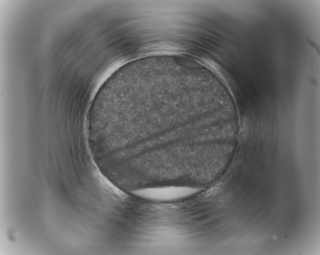 X0000098151243200805151157