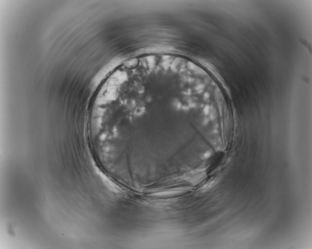 X0000098151245200805151157