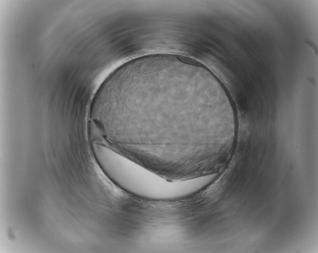 X0000098151246200805151157