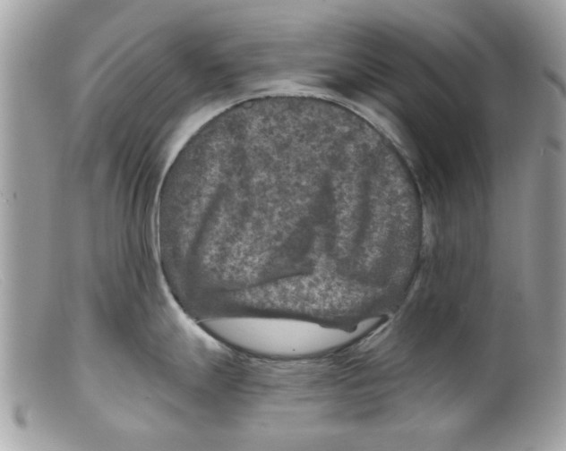 X0000098151247200805151157