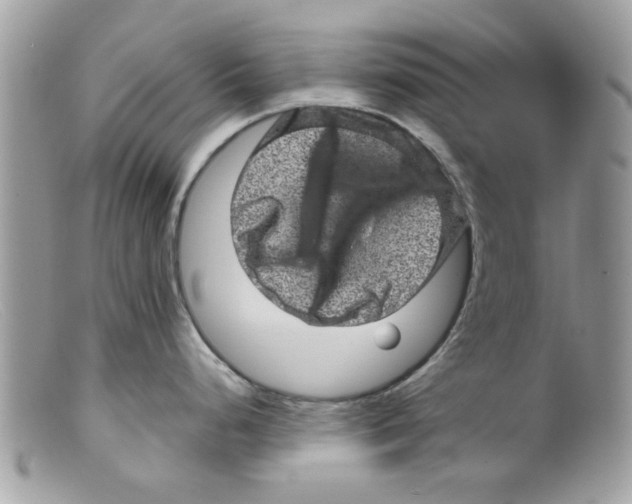 X0000098151248200805151157
