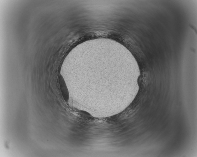 X0000098151249200805151156