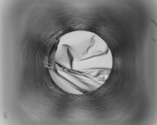 X0000098151250200805151156