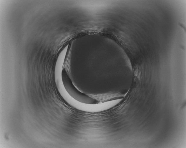 X0000098151252200805151156