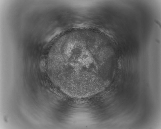 X0000098151254200805151156